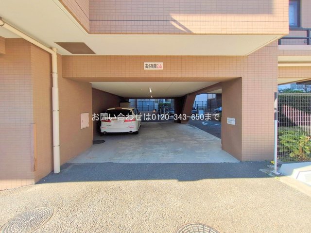 撮影日(2025-11-17 00:00:00)