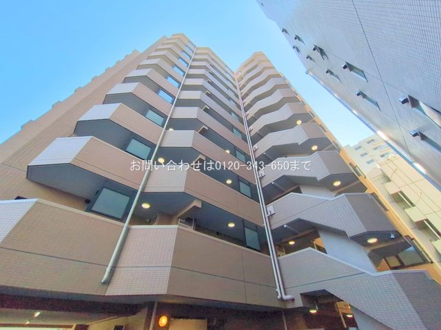 撮影日(2025-11-17 00:00:00)