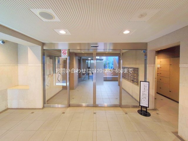 撮影日(2025-11-17 00:00:00)