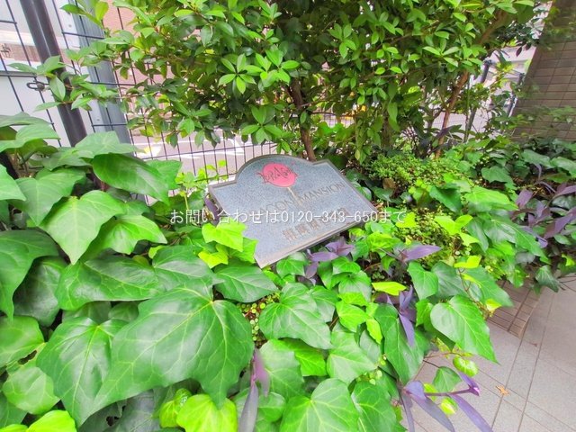 撮影日(2025-06-26 00:00:00)