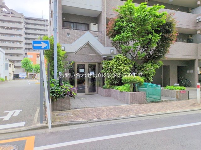 撮影日(2025-06-26 00:00:00)