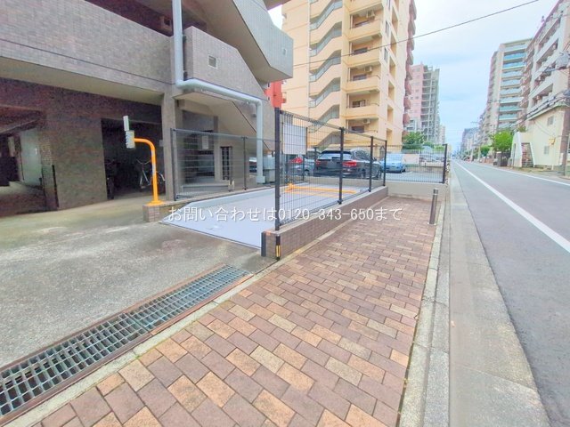 撮影日(2025-06-26 00:00:00)