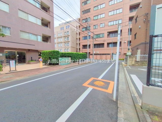 撮影日(2025-06-26 00:00:00)