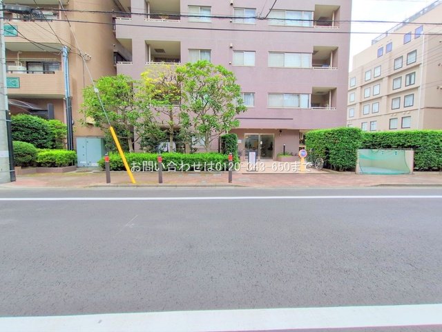 撮影日(2025-06-26 00:00:00)