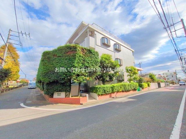 撮影日(2025-11-18)