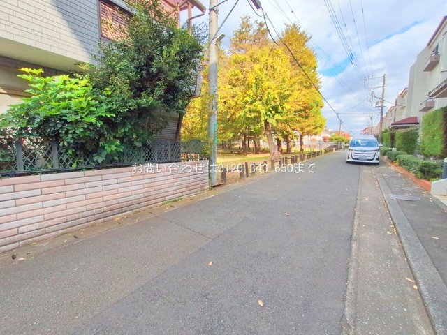 撮影日(2025-11-18 00:00:00)