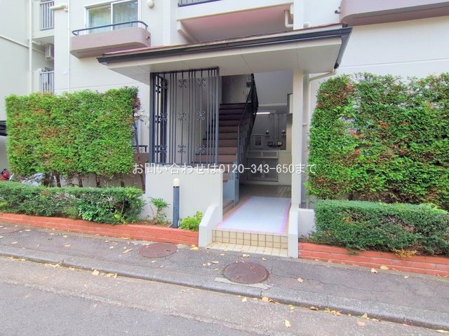 撮影日(2025-11-18 00:00:00)