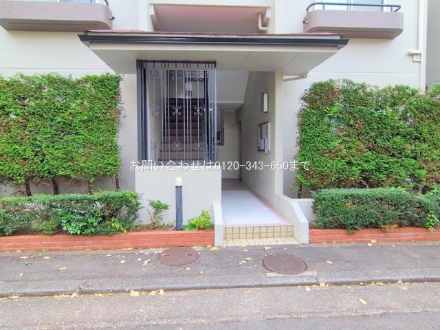 撮影日(2025-11-18)