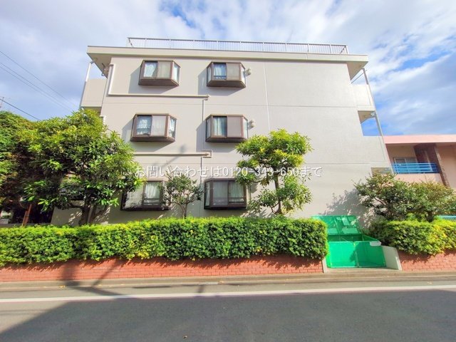 撮影日(2025-11-18 00:00:00)