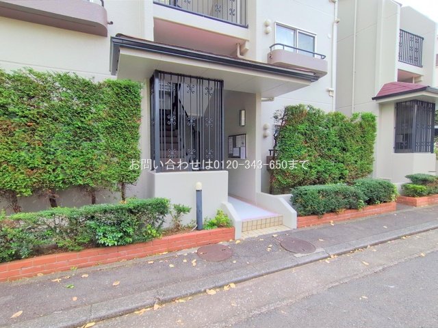 撮影日(2025-11-18 00:00:00)