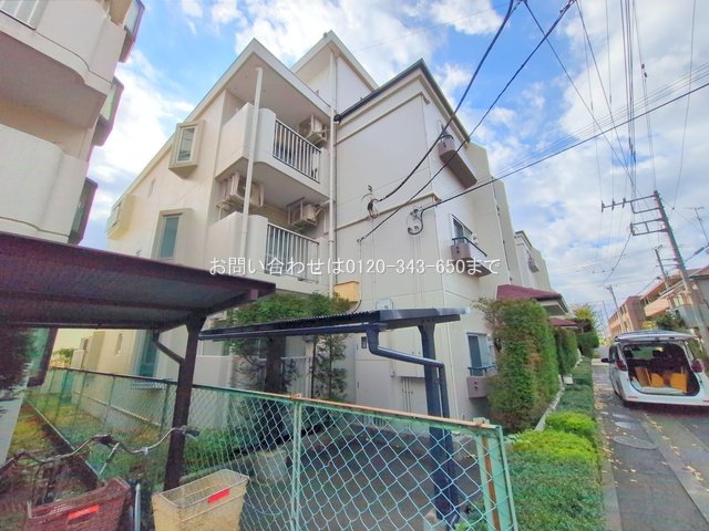 撮影日(2025-11-18 00:00:00)