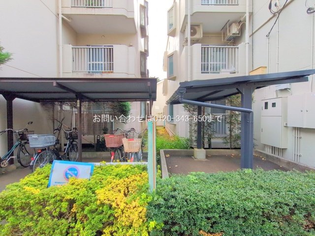 撮影日(2025-11-18 00:00:00)