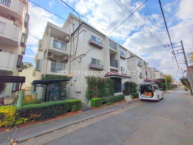 撮影日(2025-11-18 00:00:00)