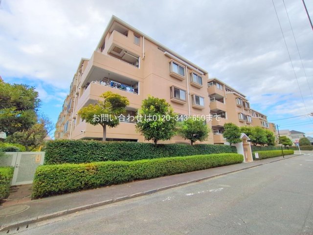 撮影日(2025-11-19)