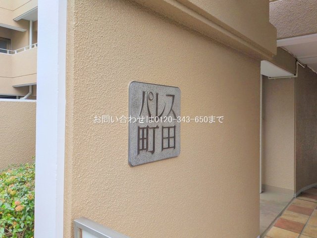 撮影日(2025-11-19 00:00:00)