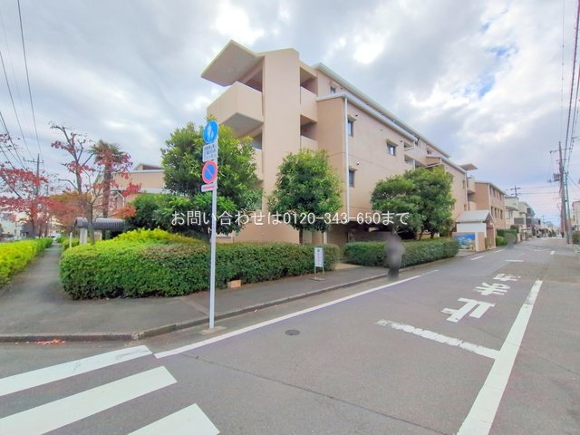 撮影日(2025-11-19 00:00:00)