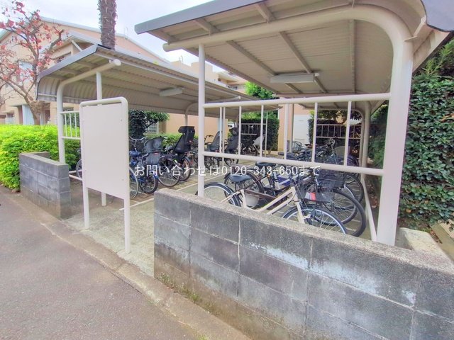 撮影日(2025-11-19 00:00:00)