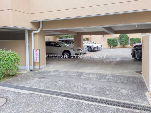 撮影日(2025-11-19 00:00:00)