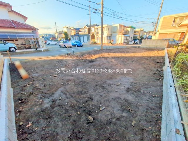 撮影日(2025-11-19 00:00:00)