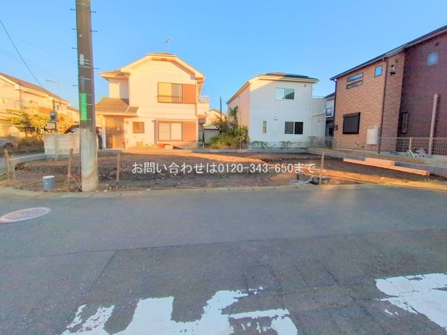 撮影日(2025-11-19 00:00:00)