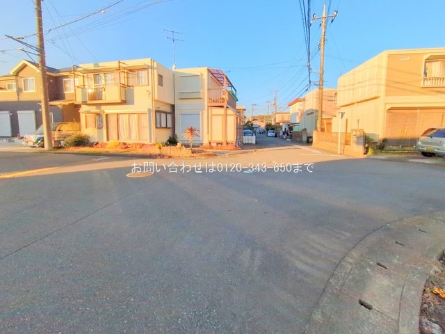 撮影日(2025-11-19 00:00:00)