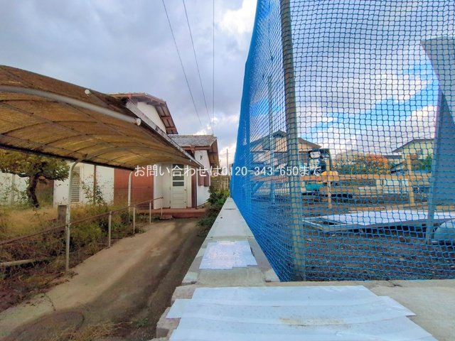 撮影日(2025-11-10 00:00:00)