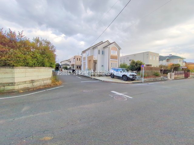 撮影日(2025-11-10 00:00:00)