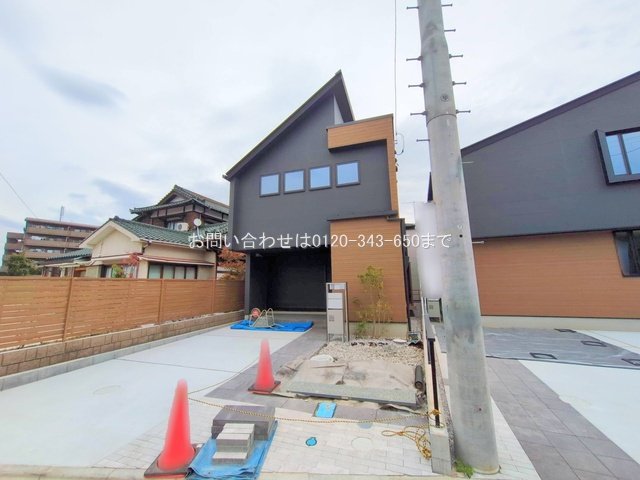 撮影日(2025-11-13)