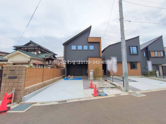 撮影日(2025-11-13 00:00:00)