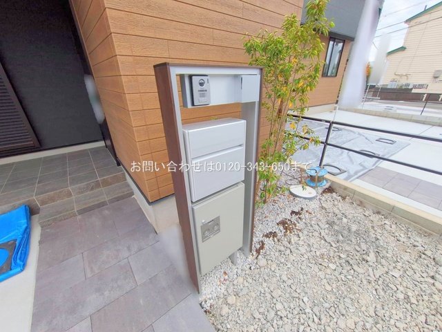 撮影日(2025-11-13 00:00:00)