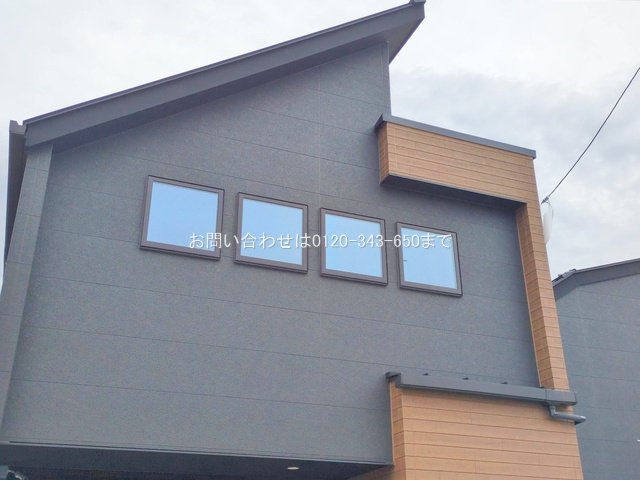 撮影日(2025-11-13 00:00:00)