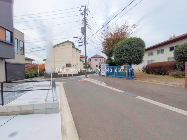 撮影日(2025-11-13 00:00:00)