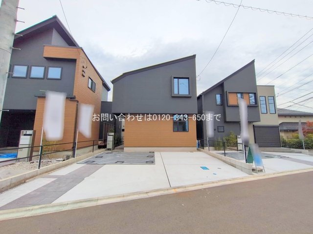 撮影日(2025-11-13 00:00:00)