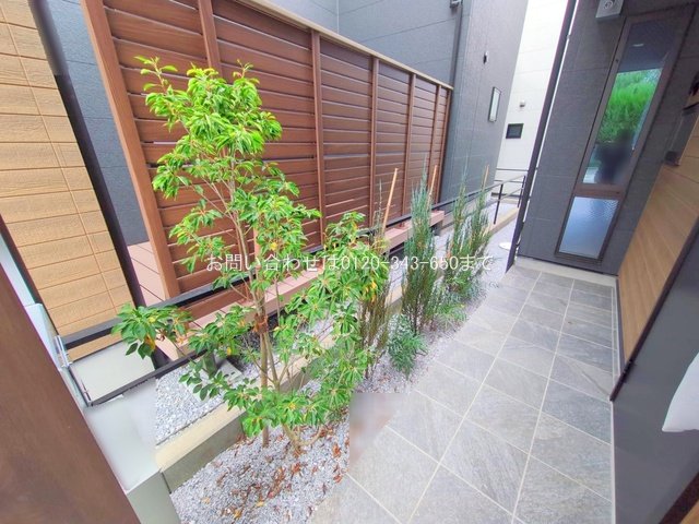 撮影日(2025-11-13 00:00:00)