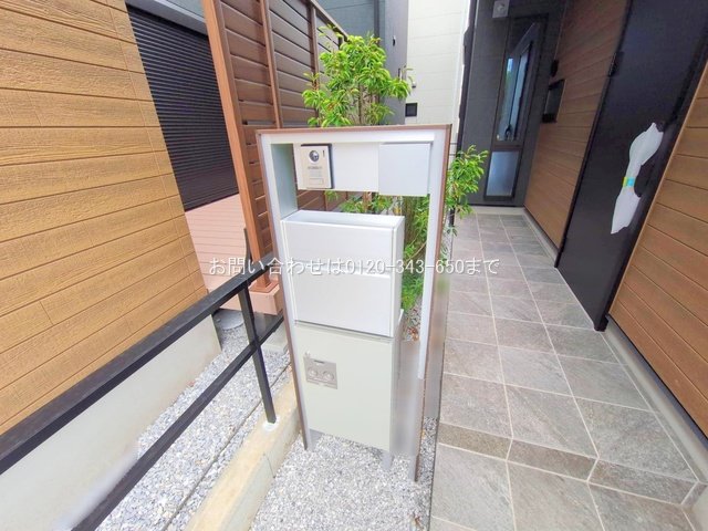 撮影日(2025-11-13 00:00:00)