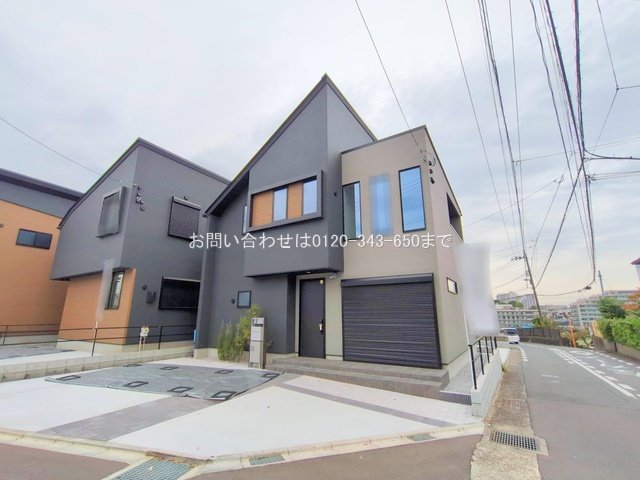 撮影日(2025-11-13)