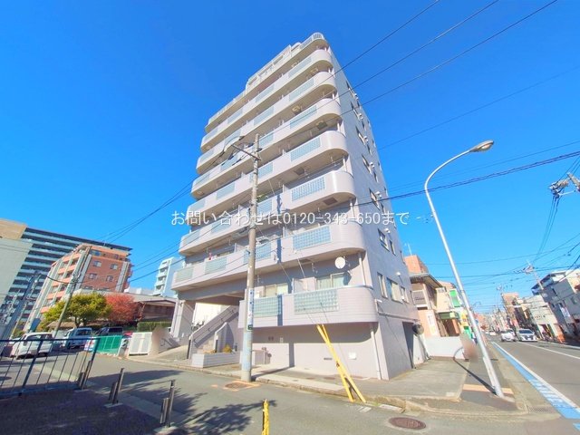 撮影日(2025-11-17)