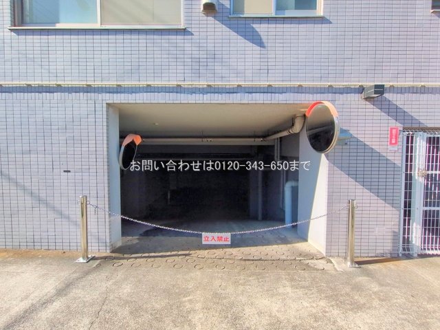 撮影日(2025-11-17 00:00:00)