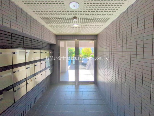 撮影日(2025-11-17 00:00:00)