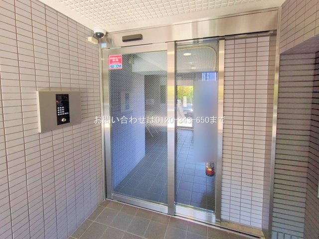 撮影日(2025-11-17 00:00:00)