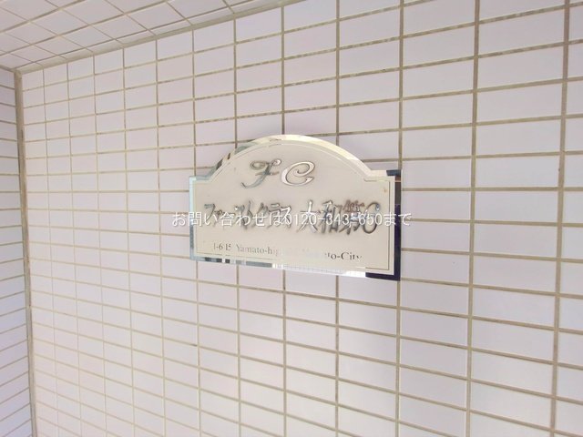 撮影日(2025-11-17 00:00:00)