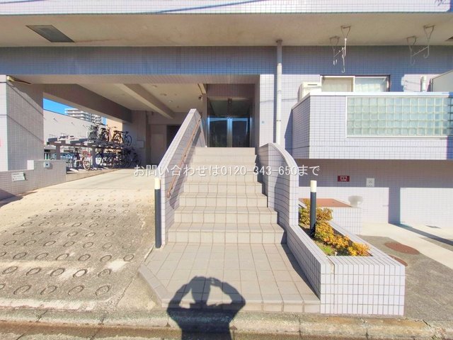 撮影日(2025-11-17 00:00:00)