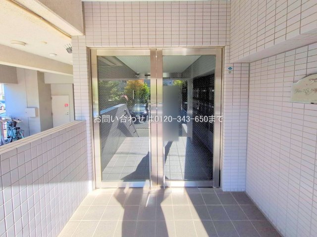 撮影日(2025-11-17)