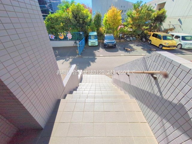 撮影日(2025-11-17 00:00:00)