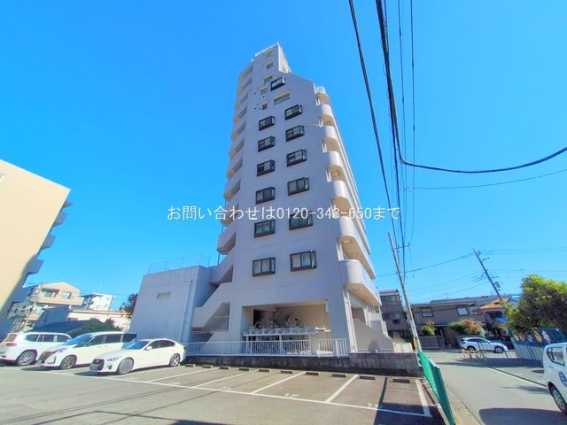 撮影日(2025-11-17 00:00:00)