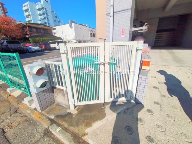 撮影日(2025-11-17 00:00:00)