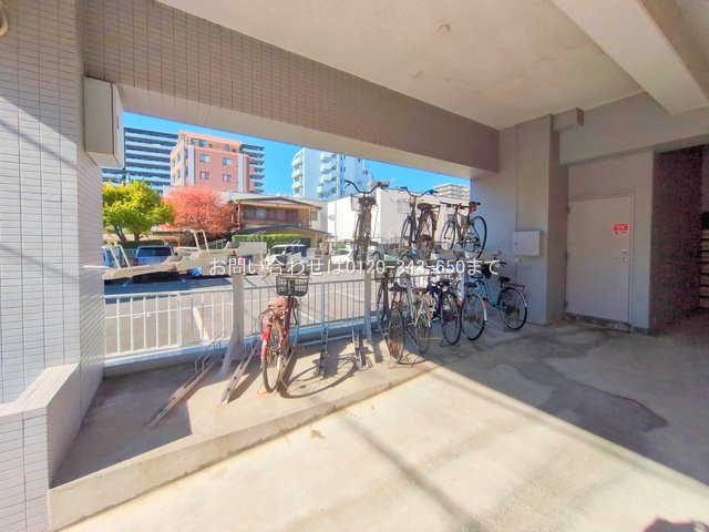 撮影日(2025-11-17 00:00:00)