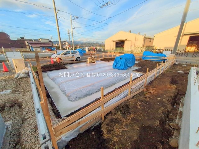 撮影日(2025-11-18)