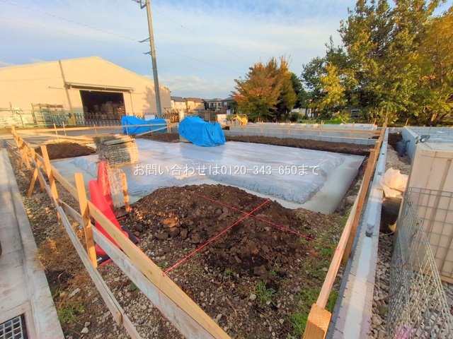 撮影日(2025-11-18 00:00:00)