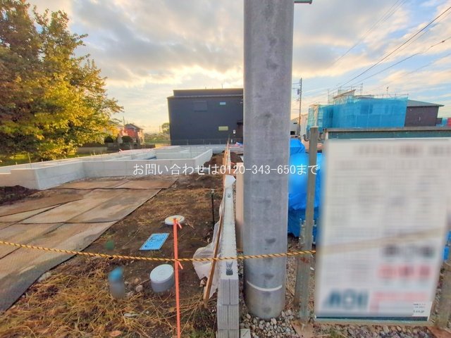 撮影日(2025-11-18 00:00:00)